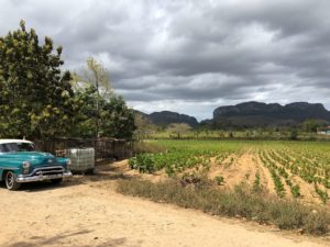 Read more about the article Viñales
